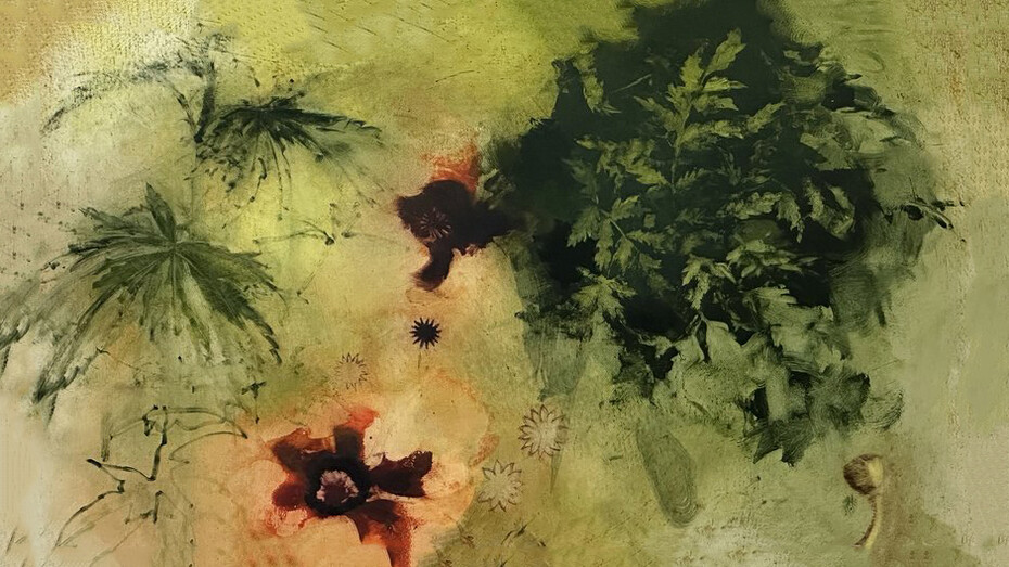 Rachael Catharine Anderson, Magic canvas, 2025. Courtesy of signs and symbols gallery