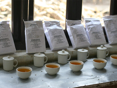 Tè Gran Cru della Mist Valley