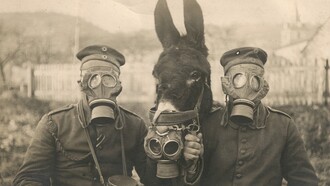 La Prima guerra mondiale