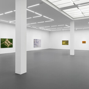 Tauba Auerbach, Easy assembly, exhibition view. Courtesy of Esther Schipper