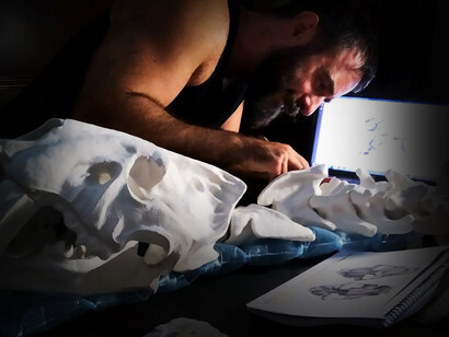 Konstantino Fais (1987, Ioannina en Grecia) artista contemporáneo griego, trabajando en la estructura de Smilodon Populator