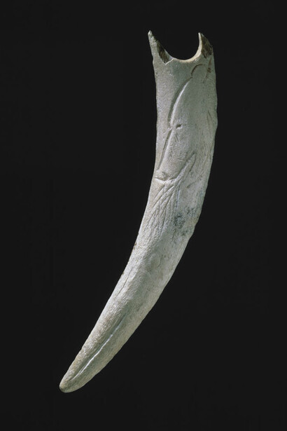 Ours. Courtesy of Laténium