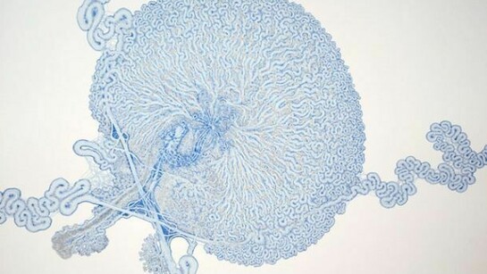Daniel Zeller, I5, 22, 57 Interchange, with Hydra, 2013, Ink and acrylic on paper, 30 x 37 inches