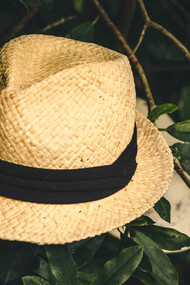 The garden of the world has no limits