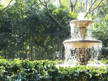 The Fountain of Youth