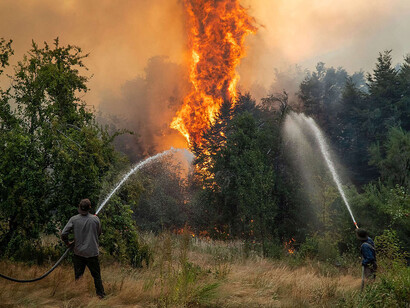 La Patagonia argentina enfrenta una crisis ambiental sin precedentes debido a incendios forestales que han arrasado miles de hectáreas en 2025