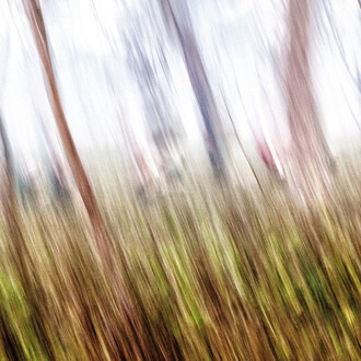 Paolo Sollazzo. Courtesy of Gallerja