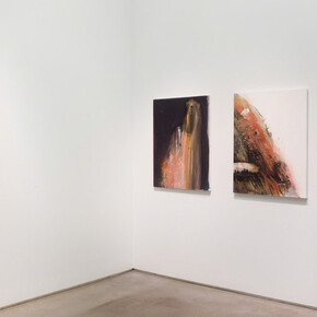 Suzanne McClelland. Courtesy of Team (gallery, inc.)