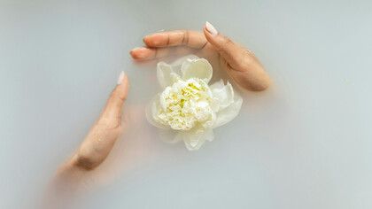A pair of hands carefully guarding a blooming flower floting on murky water