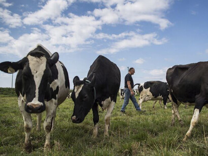 En un horizonte temporal de 20 años, 1 kg de metano tiene un potencial de calentamiento 86 veces mayor al de 1 kg dióxido de carbono