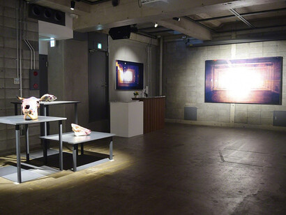 Derivation from the Trunk, Exhibition view. Courtesy of Sezon Art Gallery