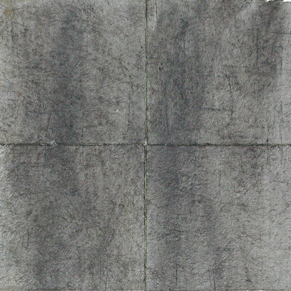 Luca Serra, Senza titolo, 2002, calco in gomma acrilica e caucciù su tela, 50 x 60 cm