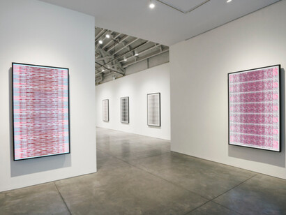 Michal Rovner. Courtesy of Pace Gallery 