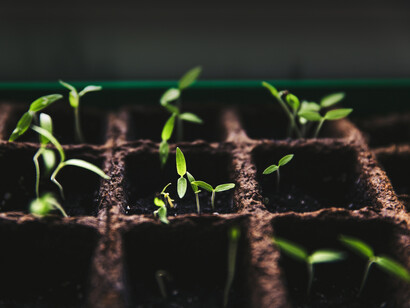 «La biodinámica busca la sabiduría (holística) de las culturas indígenas, respeta las enseñanzas genuinas de la ciencia (atómica)», declaró Nadia El-Hage Scialabba, ecóloga independiente en el evento «Agricultura biodinámica: por qué es algo serio»