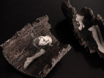 Letizia Marabottini. Conservazione ermetica del paradiso perduto (particolare dell'installazione), 2013, tecnica mista