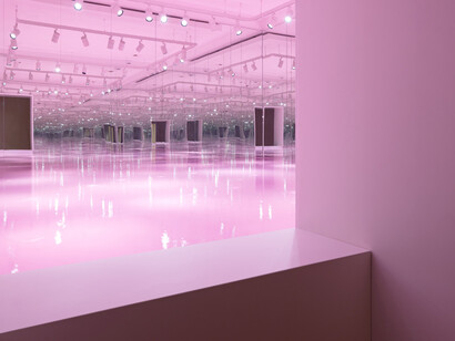 Pamela Rosenkranz, Liquid body, exhibition view. Courtesy of Stedelijk Museum