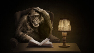 Orangután frente a una libreta intenta tomar una decisión