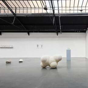 Jeanne Susplugas, Ordinary madness, vue d'exposition. Avec l'aimable autorisation de la Galerie La Patinoire Royale Bach