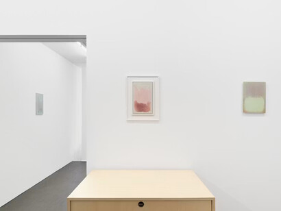 Sarah Pillen, From the field, exhibition view. Courtesy of Hopstreet Gallery