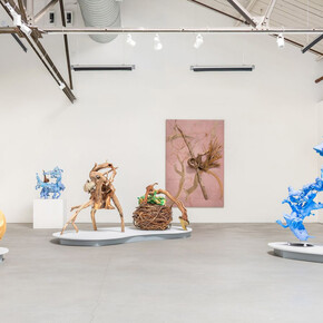 Marta Thoma Hall, To see with eyes closed, exhibition view. Courtesy of Anglim/Trimble