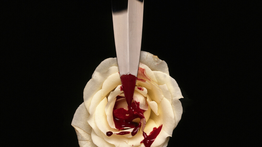 Faca e flor