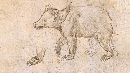 Orso che cammina, Leonardo da Vinci, 1490 circa. Metropolitan Museum of Art, New York