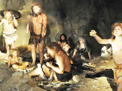 Ci siamo sempre comportati come gli animali, abbiamo persino pensato come gli animali