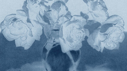 Thomas Ruff, neg◊stil_08, 2015, Chromogenic print, 11 1/4 × 9 3/16 inches (28.5 × 23.4 cm), Ed. of 8, detail