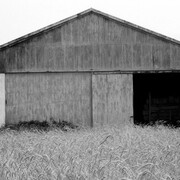 Ellsworth Kelly, Edition of 6, 4 AP Barn, Southampton (detail), 1968. Courtesy of Parrish Art Museum