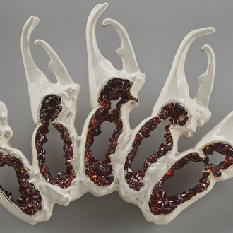 Wunderkammer: the collection of Susan Beech. Courtesy of Museum of Craft and Design 