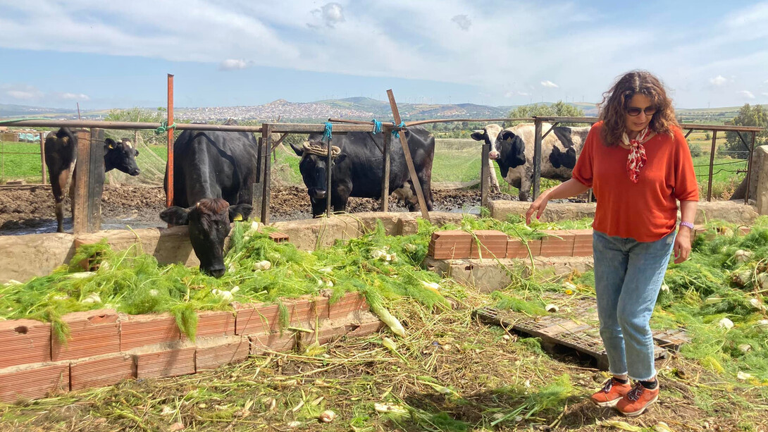 Leila Derouiche Rafrafi, fundadora de Henchir D' Heb, casa de huéspedes ecoturística en Túnez