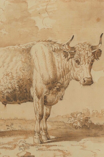Jan van Gool, Bull standing in a pasture (detail). Mit freundlicher genehmigung der Gemäldegalerie