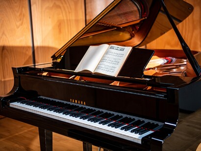 Il pianoforte Forster, foto di Michele Cordoni