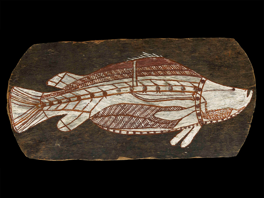 Bark painting of a barramundi, Western Arnhem Land, about 1961 © The Trustees of the British Museum