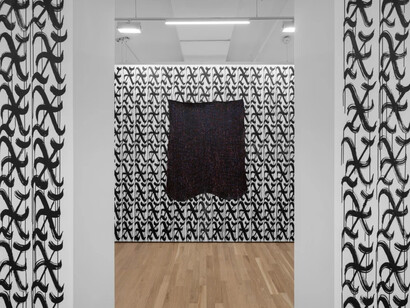 Esteban Ramón Pérez, Smoking mirror, exhibition view. Courtesy of Charles Moffett Gallery