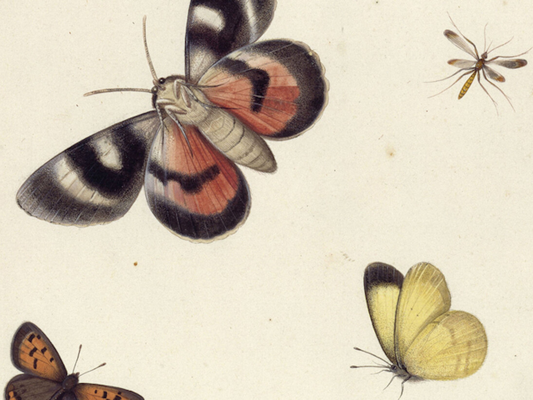 The Charm of the Small. Courtesy of Gemäldegalerie