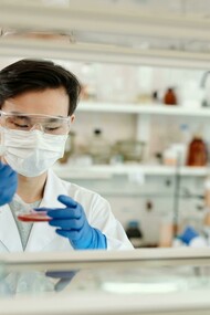 Laboratorio. Carne in vitro: la soluzione per soddisfare la crescente domanda di proteine senza danneggiare l'ambiente