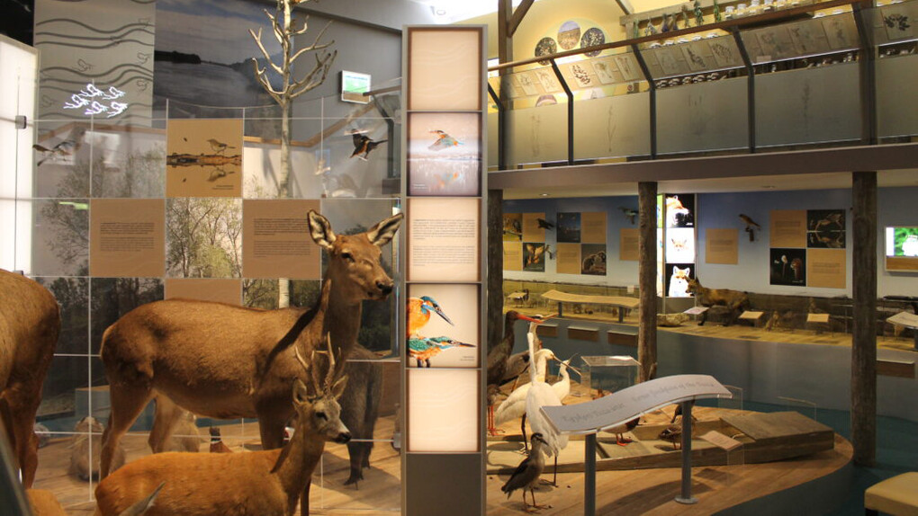 Our river and its land, exhibition view. Courtesy of Móra Ferenc Museum