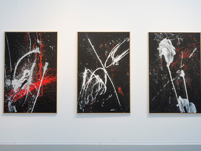 Patrícia Koyšová, Free fall, exhibition view. Courtesy of Danubiana