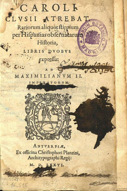 Na obra Rariorum aliquot stirpium per Hispanias observatarum historia, (Antuérpia, 1576), Clusius descreveu plantas raras e espécies botânicas peninsulares.