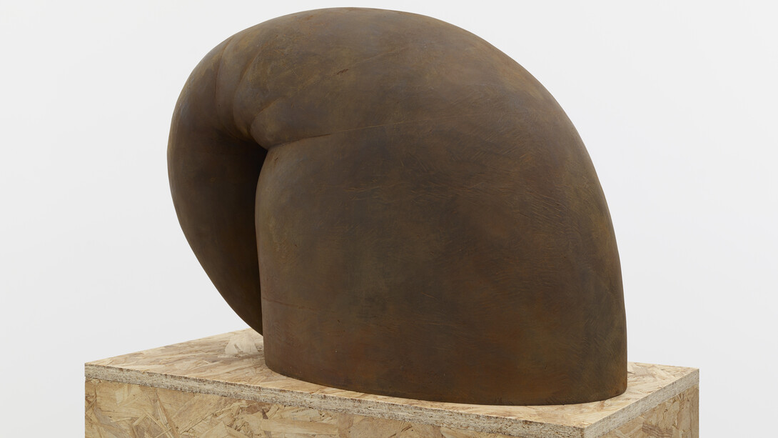 Martin Puryear, Up and Over, 2014, Cast ductile iron, 18 5/8 x 26 1/2 x 12 3/4 inches, 47 x 67 x 32 cm. ©Martin Puryear, Courtesy Matthew Marks Gallery