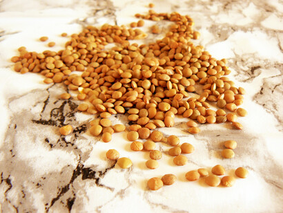 Lenticchie secche