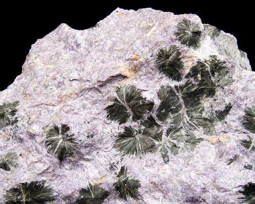 Mineral Hall. Courtesy of Royal Belgian Institute of Natural Sciences