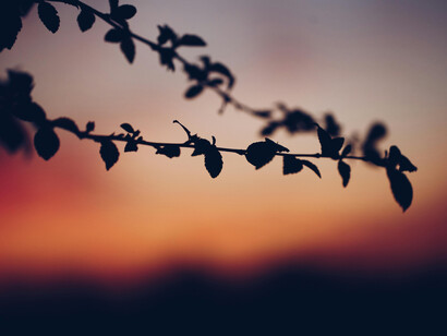 Crecer implicó enfrentar mis miedos, validar mi voz y comprender que mi valor no depende de la aprobación de nadie más