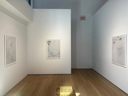 Nicolas Africano, Themes and variations, exhibition view. Courtesy of Nancy Hoffman Gallery