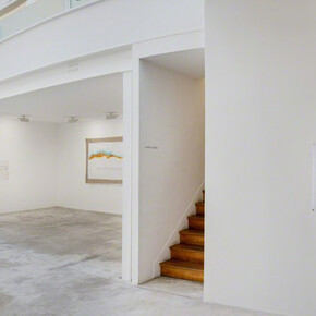 Maria Thereza Alves. Courtesy of Michel Rein