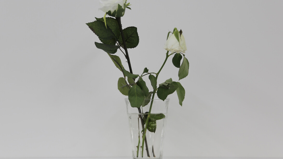 Stéphanie Saadé, Faux-Jumeaux, 2014, rose blanche naturelle, rose blanche artificielle, vaset, 15 x 30 cm, courtesy de l’artiste & galerie anne barrault