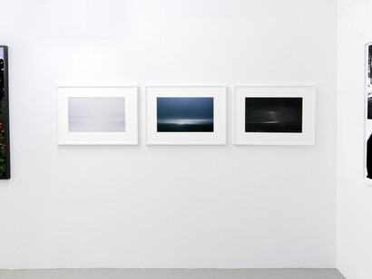 Various artists, Nature represented and reproduced, exhibition view. Courtesy of CLAMP