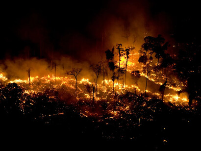A destruição da floresta amazônica tem vindo a aumentar durante a administração do Governo de Bolsonaro