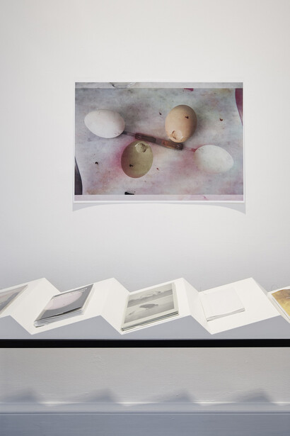 Wolfgang Tillmans. Courtesy of Irish Museum of Modern Art
